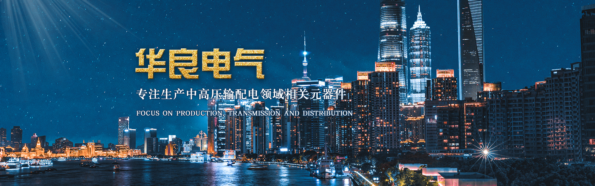 VYF真空断路器
