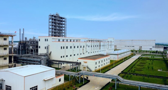 江苏理文化工有限公司