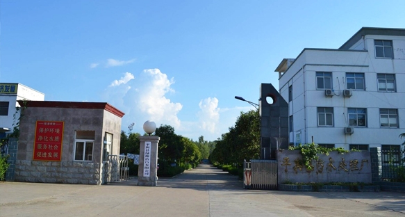 河南平舆县污水公司