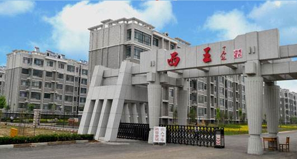 山东邹平西王新建5炉4机电厂